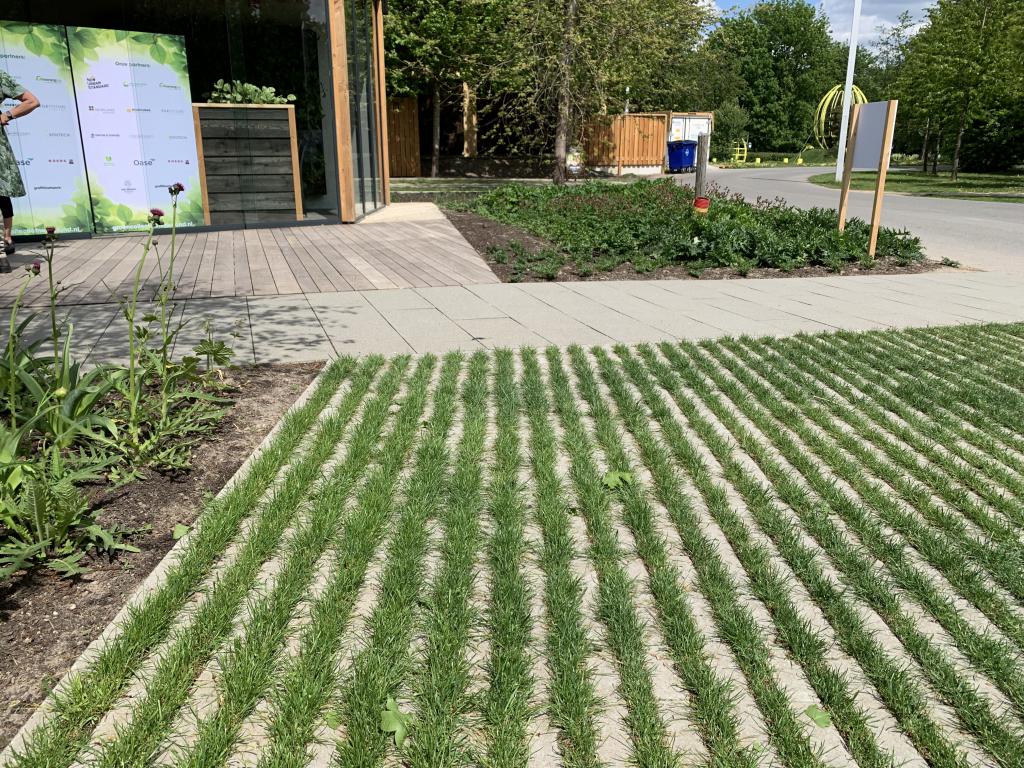 hårdgjorda ytor i utemiljö