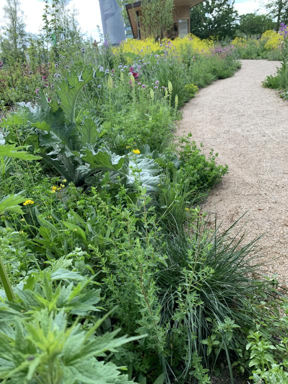 Floriade 2022 Lageschaars Perenner