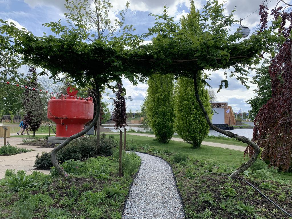 Floriade 2022 Carpinus betulus