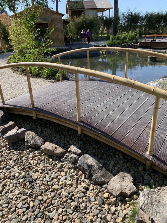 Urban district Floriade 2022 Chinese bamboo garden