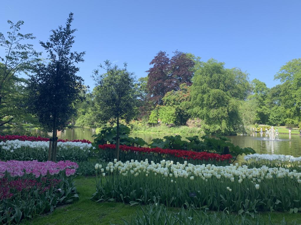 Keukenhof Park Nederländerna
