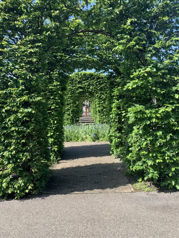 Avenboksportaler Keukenhof park