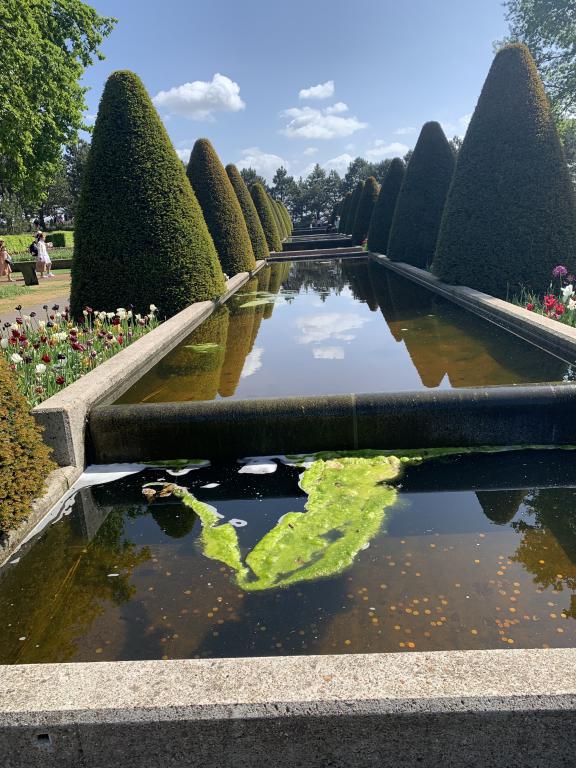 Vattenspegel Orangeri Nassau Keukenhof