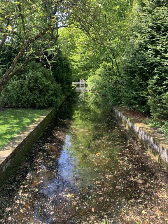 Vattenspegel i parken Keukenhof