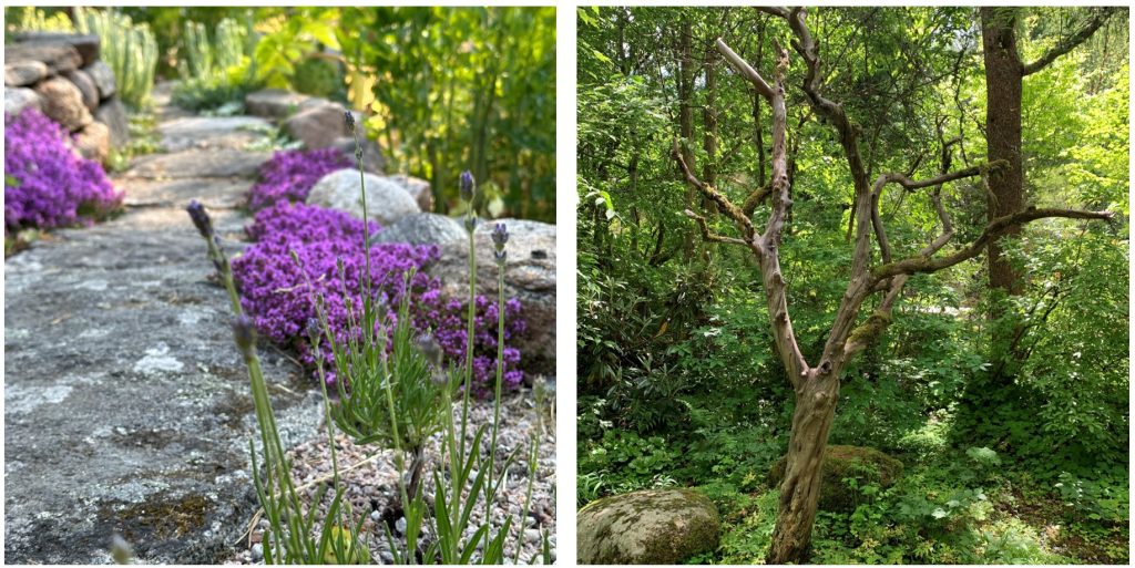 Naturtyper ekosystem